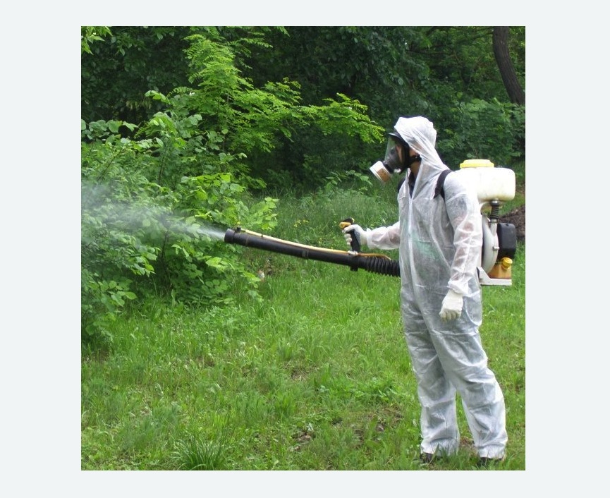 обработка дачи от клещей обработка территории от клещей в Губахе