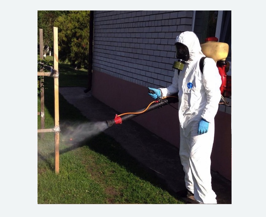 уничтожение клещей на участке травля клещей на участке в Губахе