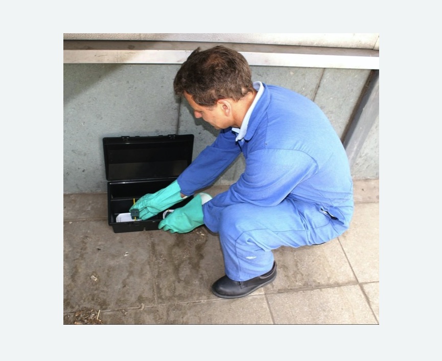 Уничтожение мышей в Губахе Уничтожение мышей