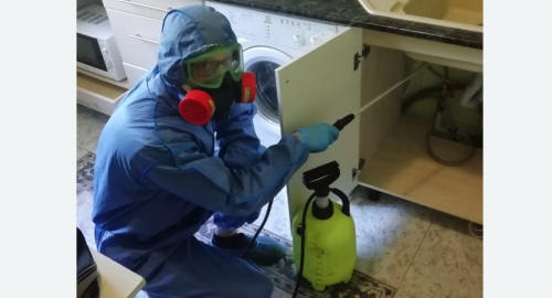 Уничтожение муравьев в квартире. Губаха