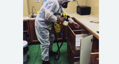 Уничтожение насекомых в квартире. Губаха