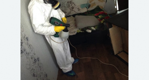 Обработка квартир от насекомых в Губахе