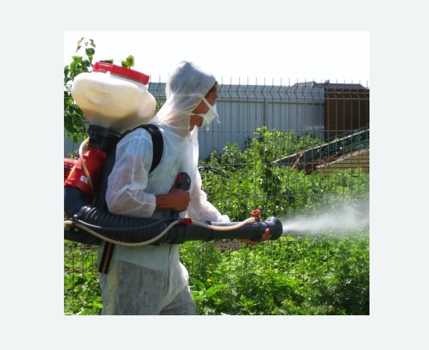 Акарицидная обработка территории в Губахе