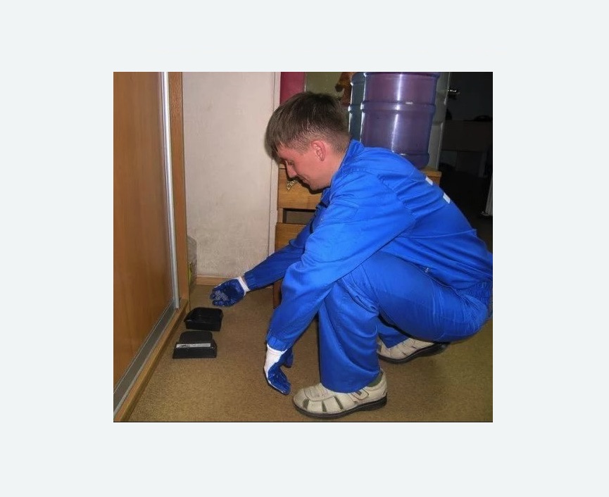 Дератизация крыс в Губахе