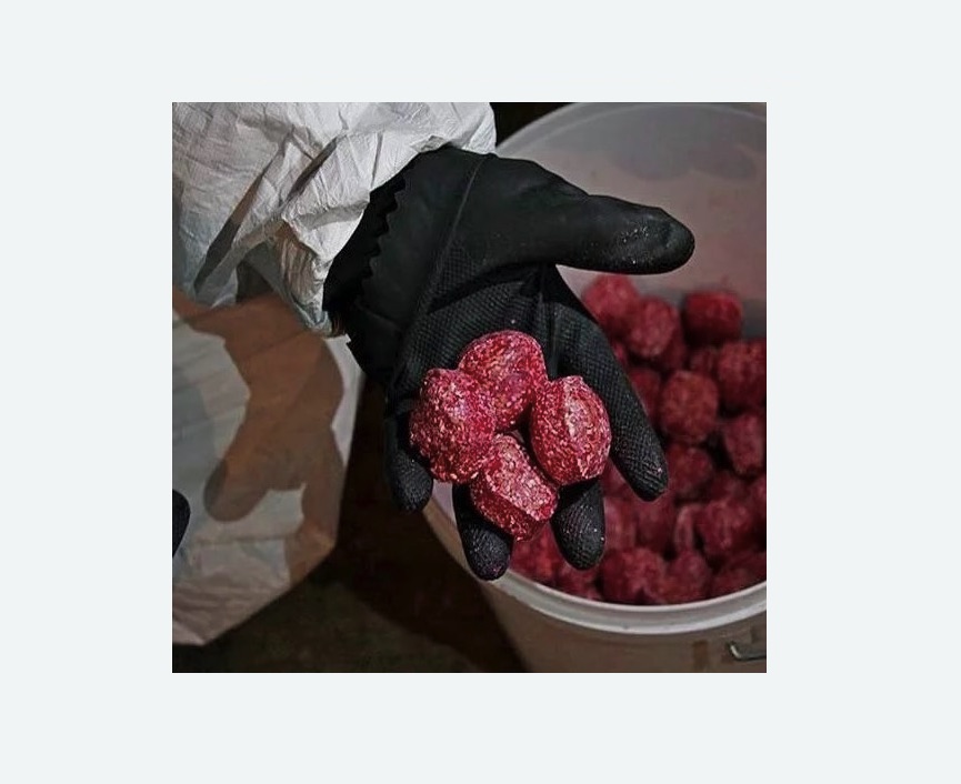 Обработка от крыс в Губахе