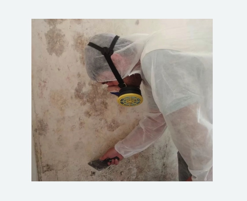 Обработка стен от плесени в Губахе