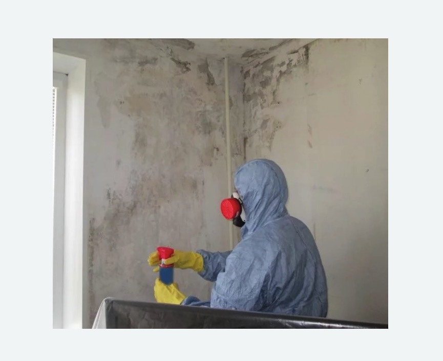 Удаление плесени в квартире в Губахе