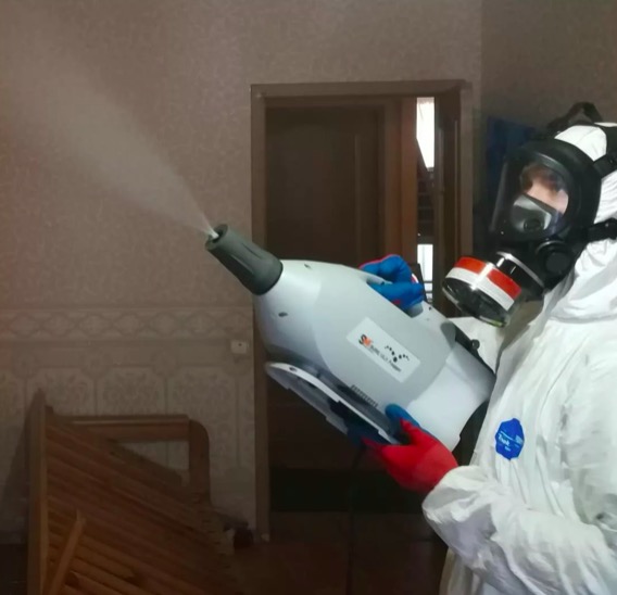дезинсекция помещения в Губахе