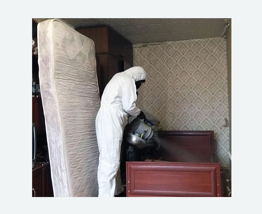 дезинфекция от клопов в Губахе