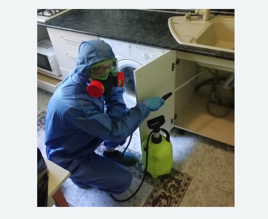 обработка от муравьев в квартире в Губахе