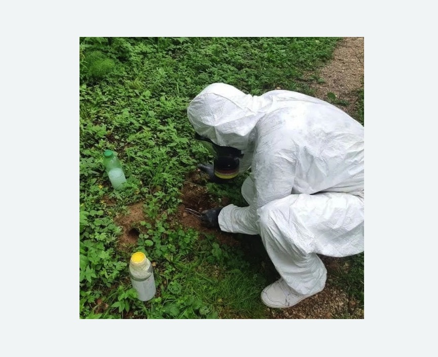 уничтожение кротов на участке в Губахе