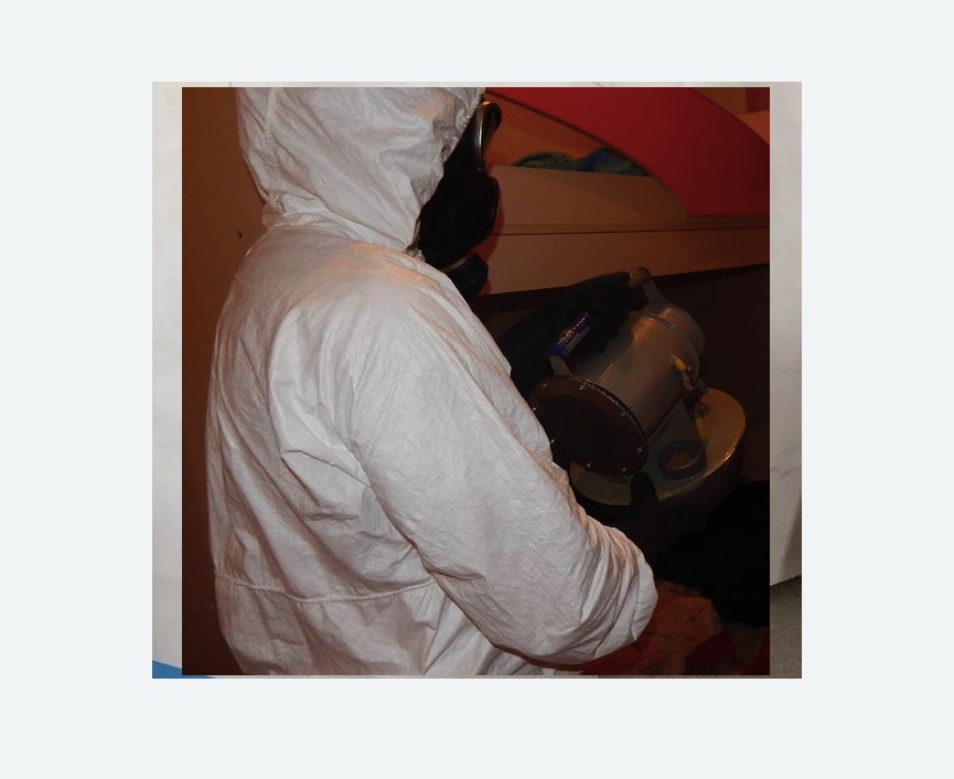 Дезинфекция от муравьев в Губахе