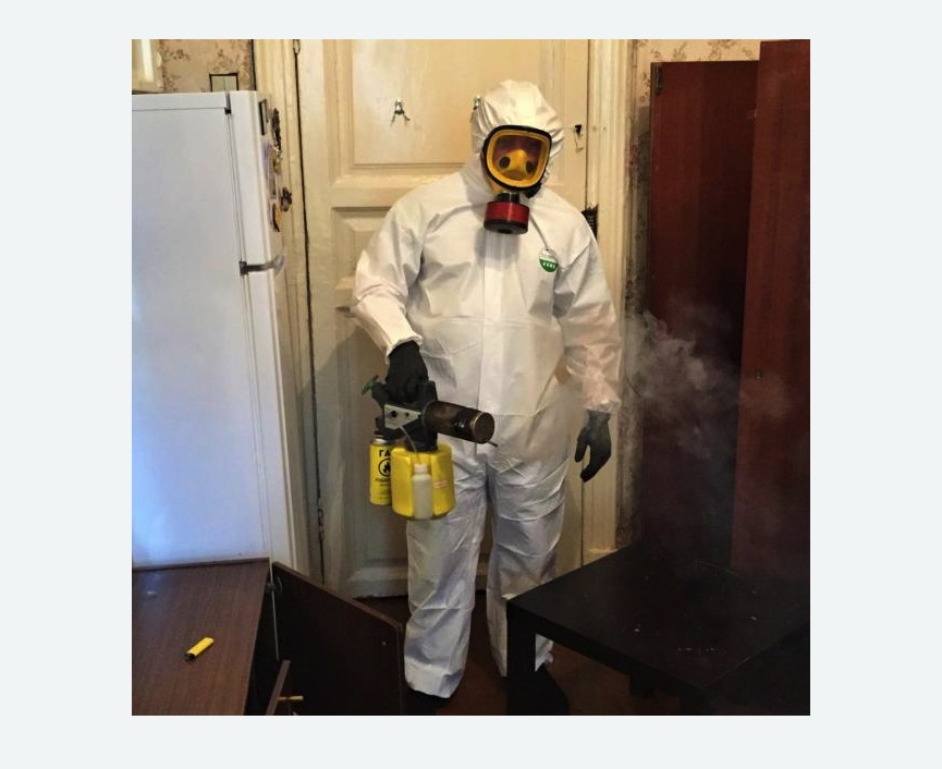 уничтожение муравьев в квартире в Губахе